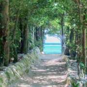 ヒメ日記 2026/03/31 05:15 投稿 りょう　小麦色の微笑む天使 辻Opera～オペラ～