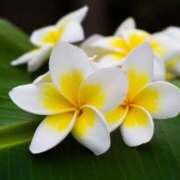 ヒメ日記 2025/12/20 09:25 投稿 そら　♡可愛さ異次元Girl♡ 辻Opera～オペラ～