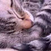 ゆら☆激カワユス♪小さな天使 読みました、、 辻Opera～オペラ～