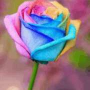 ヒメ日記 2025/09/02 23:23 投稿 緒沢  恵美里 30代40代50代と遊ぶなら博多人妻専科24時