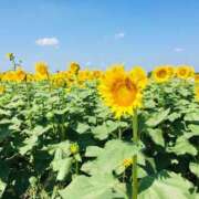 ヒメ日記 2025/09/03 19:08 投稿 緒沢  恵美里 30代40代50代と遊ぶなら博多人妻専科24時