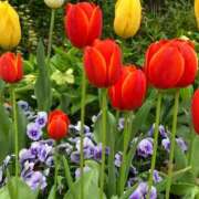 ヒメ日記 2025/09/03 23:22 投稿 緒沢  恵美里 30代40代50代と遊ぶなら博多人妻専科24時