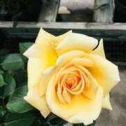 ヒメ日記 2025/09/06 22:05 投稿 緒沢  恵美里 30代40代50代と遊ぶなら博多人妻専科24時