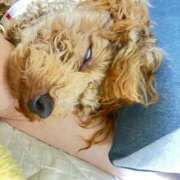 ヒメ日記 2025/10/29 16:20 投稿 緒沢  恵美里 30代40代50代と遊ぶなら博多人妻専科24時