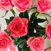 ヒメ日記 2025/11/05 08:34 投稿 緒沢  恵美里 30代40代50代と遊ぶなら博多人妻専科24時