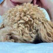 ヒメ日記 2025/11/10 01:26 投稿 緒沢  恵美里 30代40代50代と遊ぶなら博多人妻専科24時