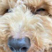 ヒメ日記 2025/11/10 21:24 投稿 緒沢  恵美里 30代40代50代と遊ぶなら博多人妻専科24時