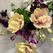 ヒメ日記 2025/11/22 20:26 投稿 緒沢  恵美里 30代40代50代と遊ぶなら博多人妻専科24時