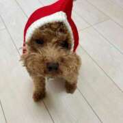 ヒメ日記 2025/11/25 09:52 投稿 緒沢  恵美里 30代40代50代と遊ぶなら博多人妻専科24時