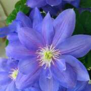 ヒメ日記 2025/11/28 16:02 投稿 緒沢  恵美里 30代40代50代と遊ぶなら博多人妻専科24時