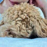 ヒメ日記 2025/11/29 10:59 投稿 緒沢  恵美里 30代40代50代と遊ぶなら博多人妻専科24時