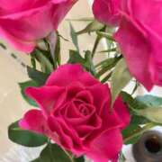 ヒメ日記 2025/12/02 01:42 投稿 緒沢  恵美里 30代40代50代と遊ぶなら博多人妻専科24時