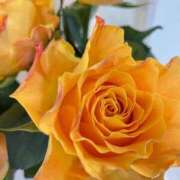 ヒメ日記 2025/12/02 20:24 投稿 緒沢  恵美里 30代40代50代と遊ぶなら博多人妻専科24時