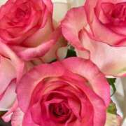 ヒメ日記 2025/12/03 16:04 投稿 緒沢  恵美里 30代40代50代と遊ぶなら博多人妻専科24時