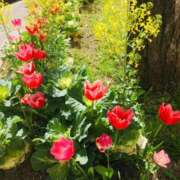 ヒメ日記 2025/12/09 10:12 投稿 緒沢  恵美里 30代40代50代と遊ぶなら博多人妻専科24時