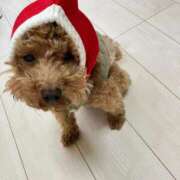 ヒメ日記 2025/12/11 02:32 投稿 緒沢  恵美里 30代40代50代と遊ぶなら博多人妻専科24時