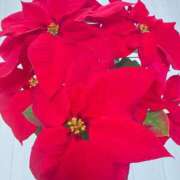 ヒメ日記 2025/12/19 03:39 投稿 緒沢  恵美里 30代40代50代と遊ぶなら博多人妻専科24時