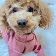 ヒメ日記 2025/12/19 21:59 投稿 緒沢  恵美里 30代40代50代と遊ぶなら博多人妻専科24時