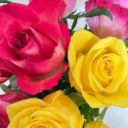 ヒメ日記 2025/12/20 12:01 投稿 緒沢  恵美里 30代40代50代と遊ぶなら博多人妻専科24時