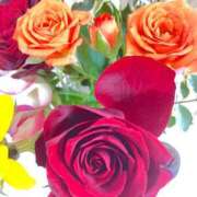 ヒメ日記 2025/12/20 17:51 投稿 緒沢  恵美里 30代40代50代と遊ぶなら博多人妻専科24時