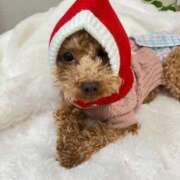 ヒメ日記 2025/12/24 20:07 投稿 緒沢  恵美里 30代40代50代と遊ぶなら博多人妻専科24時