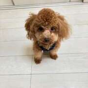 ヒメ日記 2025/12/27 02:59 投稿 緒沢  恵美里 30代40代50代と遊ぶなら博多人妻専科24時