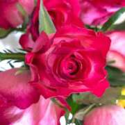 ヒメ日記 2025/12/28 22:41 投稿 緒沢  恵美里 30代40代50代と遊ぶなら博多人妻専科24時