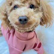 ヒメ日記 2025/12/29 22:49 投稿 緒沢  恵美里 30代40代50代と遊ぶなら博多人妻専科24時