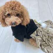 ヒメ日記 2026/01/01 21:10 投稿 緒沢  恵美里 30代40代50代と遊ぶなら博多人妻専科24時