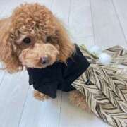 ヒメ日記 2026/01/02 14:52 投稿 緒沢  恵美里 30代40代50代と遊ぶなら博多人妻専科24時