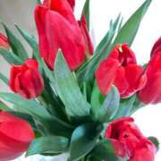 ヒメ日記 2026/01/09 02:32 投稿 緒沢  恵美里 30代40代50代と遊ぶなら博多人妻専科24時