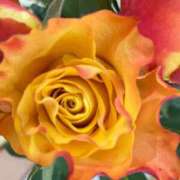 ヒメ日記 2026/01/19 19:57 投稿 緒沢  恵美里 30代40代50代と遊ぶなら博多人妻専科24時