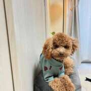 ヒメ日記 2026/01/19 22:52 投稿 緒沢  恵美里 30代40代50代と遊ぶなら博多人妻専科24時