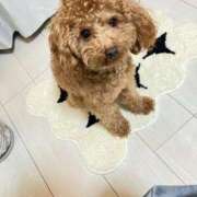 ヒメ日記 2026/01/20 18:18 投稿 緒沢  恵美里 30代40代50代と遊ぶなら博多人妻専科24時