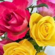 ヒメ日記 2026/01/25 16:38 投稿 緒沢  恵美里 30代40代50代と遊ぶなら博多人妻専科24時