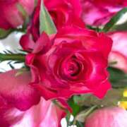 ヒメ日記 2026/01/31 19:50 投稿 緒沢  恵美里 30代40代50代と遊ぶなら博多人妻専科24時