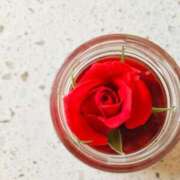 ヒメ日記 2026/02/02 19:43 投稿 緒沢  恵美里 30代40代50代と遊ぶなら博多人妻専科24時