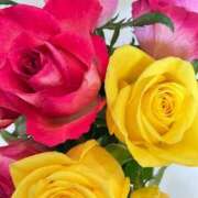 ヒメ日記 2026/02/02 22:11 投稿 緒沢  恵美里 30代40代50代と遊ぶなら博多人妻専科24時