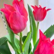 ヒメ日記 2026/02/10 13:01 投稿 緒沢  恵美里 30代40代50代と遊ぶなら博多人妻専科24時