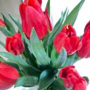 ヒメ日記 2026/02/11 19:34 投稿 緒沢  恵美里 30代40代50代と遊ぶなら博多人妻専科24時