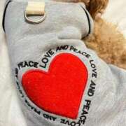 ヒメ日記 2026/02/18 23:23 投稿 緒沢  恵美里 30代40代50代と遊ぶなら博多人妻専科24時