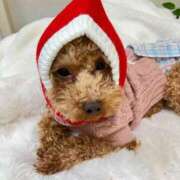 ヒメ日記 2026/02/20 22:19 投稿 緒沢  恵美里 30代40代50代と遊ぶなら博多人妻専科24時