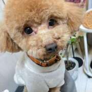 ヒメ日記 2026/03/01 22:16 投稿 緒沢  恵美里 30代40代50代と遊ぶなら博多人妻専科24時