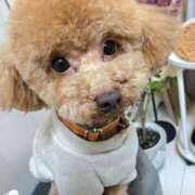 ヒメ日記 2026/03/02 17:01 投稿 緒沢  恵美里 30代40代50代と遊ぶなら博多人妻専科24時