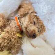 ヒメ日記 2026/03/06 18:14 投稿 緒沢  恵美里 30代40代50代と遊ぶなら博多人妻専科24時