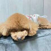 ヒメ日記 2026/03/06 20:53 投稿 緒沢  恵美里 30代40代50代と遊ぶなら博多人妻専科24時