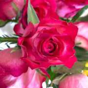 ヒメ日記 2026/04/05 16:20 投稿 緒沢  恵美里 30代40代50代と遊ぶなら博多人妻専科24時