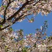 ヒメ日記 2026/04/07 15:00 投稿 緒沢  恵美里 30代40代50代と遊ぶなら博多人妻専科24時