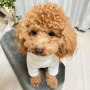 ヒメ日記 2026/04/09 01:58 投稿 緒沢  恵美里 30代40代50代と遊ぶなら博多人妻専科24時