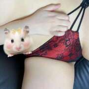 ヒメ日記 2025/09/17 09:55 投稿 えみり 無我（むが）